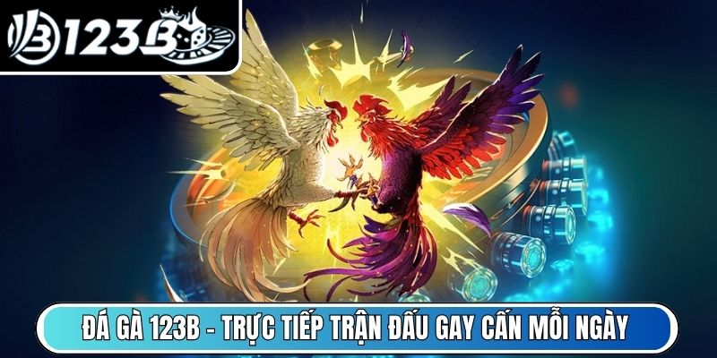 Đá Gà 123B - Trực tiếp trận đấu gay cấn mỗi ngày