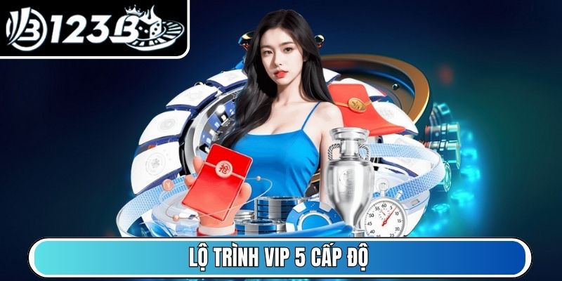 Lộ trình VIP 5 cấp độ