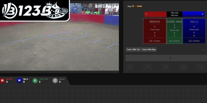 Cẩm nang đặt cược đá gà