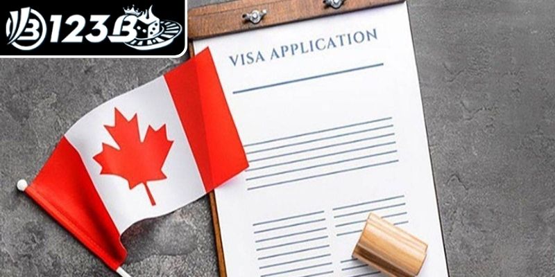 Giấy phép hoạt động 123B IOM