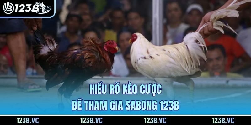 Hiểu rõ kèo cược để tham gia sabong 123B