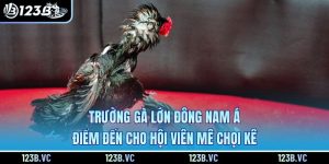 Trường Gà Lớn Đông Nam Á - Điểm Đến Cho Hội Viên Mê Chọi Kê